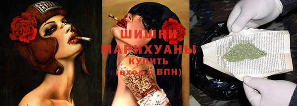 дживик Новодвинск