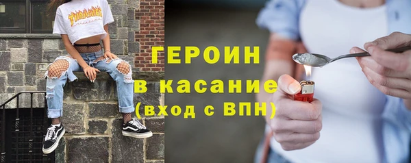 индика Грязовец