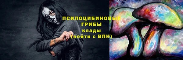 мяу мяу мука Новозыбков