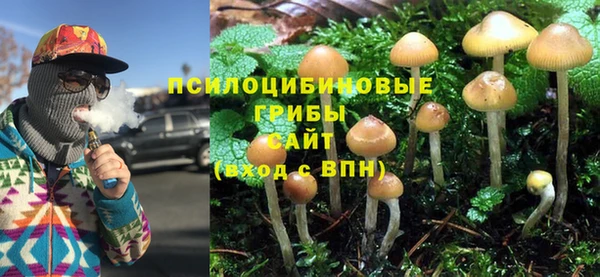 винт Новокубанск