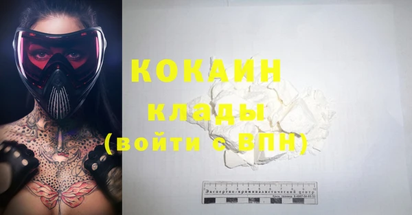 мяу мяу мука Новозыбков
