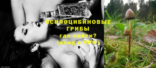 винт Новокубанск