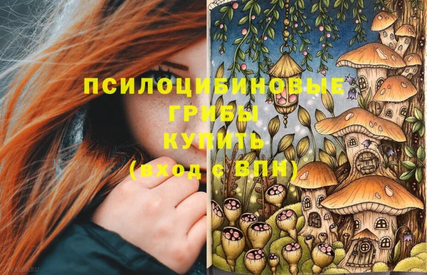 дживик Новодвинск