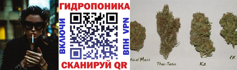 мориарти телеграм  где купить наркоту  Ряжск  Конопля ГИДРОПОН 